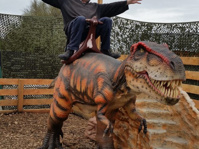 Ride a Dinosaur